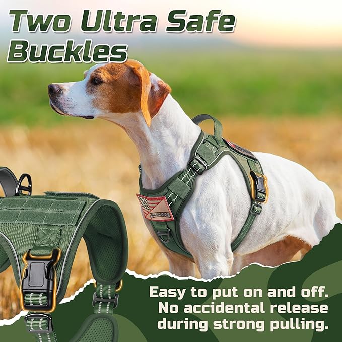 rabbitgoo Tactical Dog Harness for Small Dogs, No Pull Military Service Vest with Handle & Molle, Easy Control for Training Walking, Adjustable Reflective Straps, Green, S
