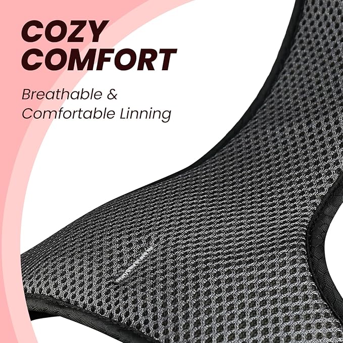 VIVAGLORY Dog Harness Easewalk No Pull Dog Harness with Handle & Front Back Clip for Training Lifting, Easy On Adjustable Padded No Pull for Pet & Puppy, XS, Red