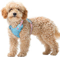 BARKBAY No Pull Dog Harness Large Reflective Dog Harness with Front Clip and Easy Control Handle for Walking Training Running with ID tag Pocket(Baby Blue & Baby Pink,XS)