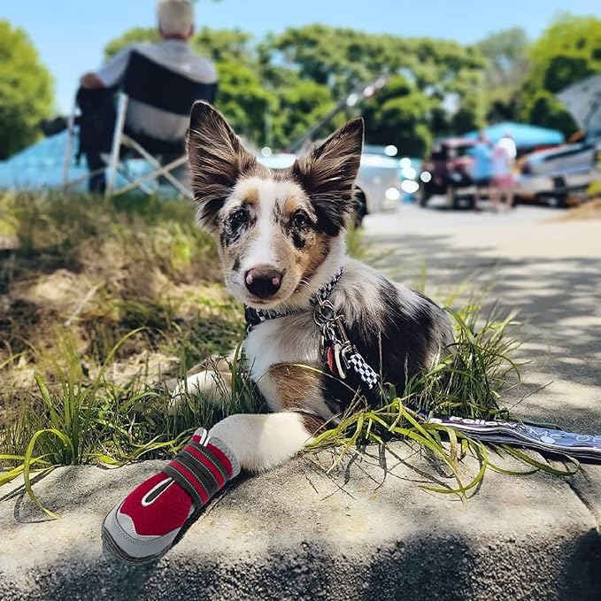 QUMY 4PCS Dog Boots for Large Dogs, Medium Dog Shoes & Paw Protectors for Hot Pavement, Summer Heat Protection, Mesh Breathable Nonslip Dog Booties for Hardfloors, Walking Running Hiking Red Size 4