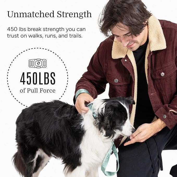 2025 New Edition, Fei & Eve MagEase Dog Collar - Patented Magnetic Buckles | Fur-Safe | Premium 210D Nylon | 450LB Escape-Proof | Adjustable Fit | Small (Glacier Green)