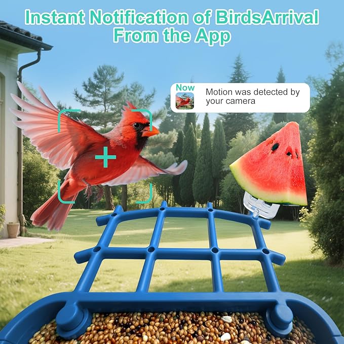 Smart Bird Feeder with Camera,AI Identify Birds Species,Auto Record 2K Birds Video in Backyard Garden,Live View,Instant Notifications，Solar Powered Charging,Ideal Gift for Family and Bird Lovers