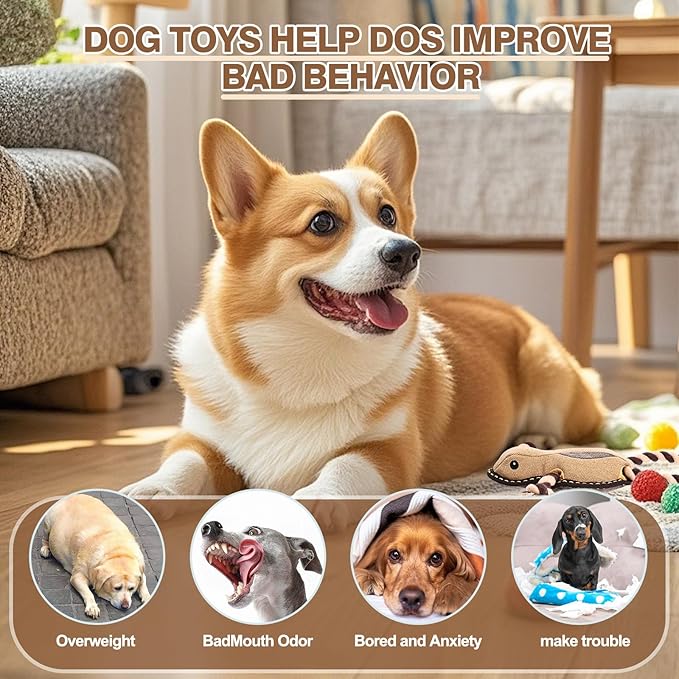 Tough Durable Squeaky Dog Toys for chewers Interactive to Keep Them Busy, Funny Tug of War Dogs Toy for Small Medium Large Cute Birthday Gift (New Frog)