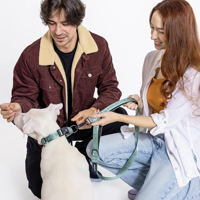 2025 New Edition, Fei & Eve MagEase Dog Collar - Patented Magnetic Buckles | Fur-Safe | Premium 210D Nylon | 450LB Escape-Proof | Adjustable Fit | Medium (Glacier Green)