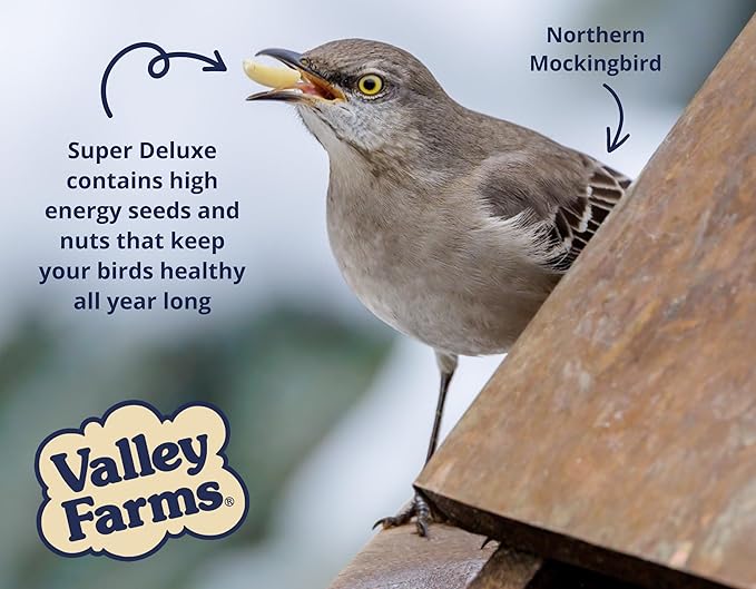 Valley Farms Super Deluxe Wild Bird Food (40 LBS)