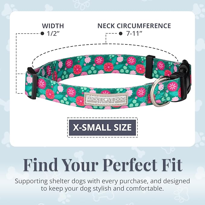 Lucky Love Dog - Adjustable Dog Collar with Easy Click Buckle for Small to Large Dogs, Durable, & Comfortable for Male & Female Dogs, Pet Collar for Puppies & Adult Ones - Penny, XS