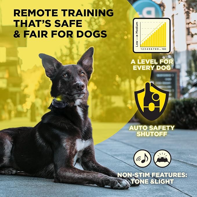 Dogtra 200iQ 2-Dog Remote Training E Collar – 100 Levels, Tone, Vibration, 1/2 Mile Range – Compact, Waterproof, One-Handed Control for Dogs 10 lbs+ – Lightweight System for Daily Obedience Training