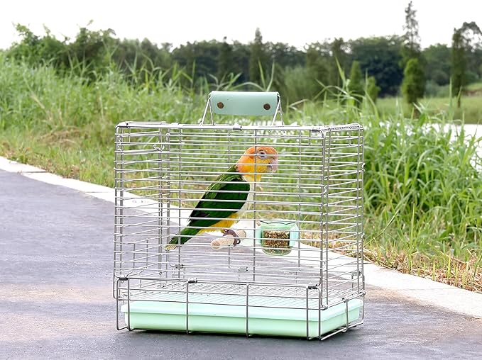 Bird Carrier Travel Cage - 304 Stainless Steel Portable Folding Bird Travel Cage with Parrot Feeder Cups & Standing Perch for Smaller Birds Conures Lovebird Cockatiel Parakeets (Green)