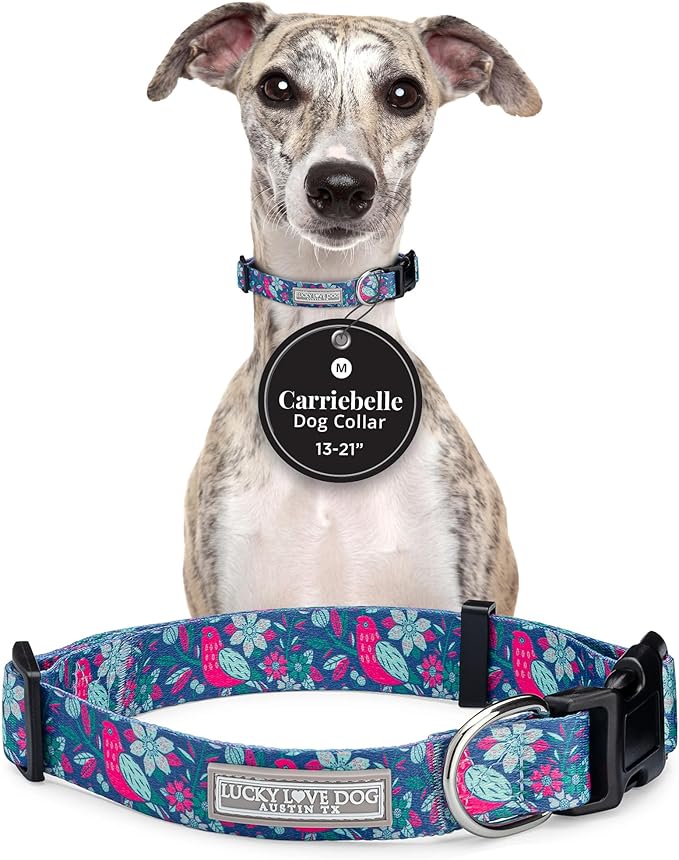 Lucky Love Dog - Adjustable Dog Collar with Easy Click Buckle for Small to Large Dogs, Durable, & Comfortable for Male & Female Dogs, Pet Collar for Puppies & Adult Ones - Carriebelle, Medium
