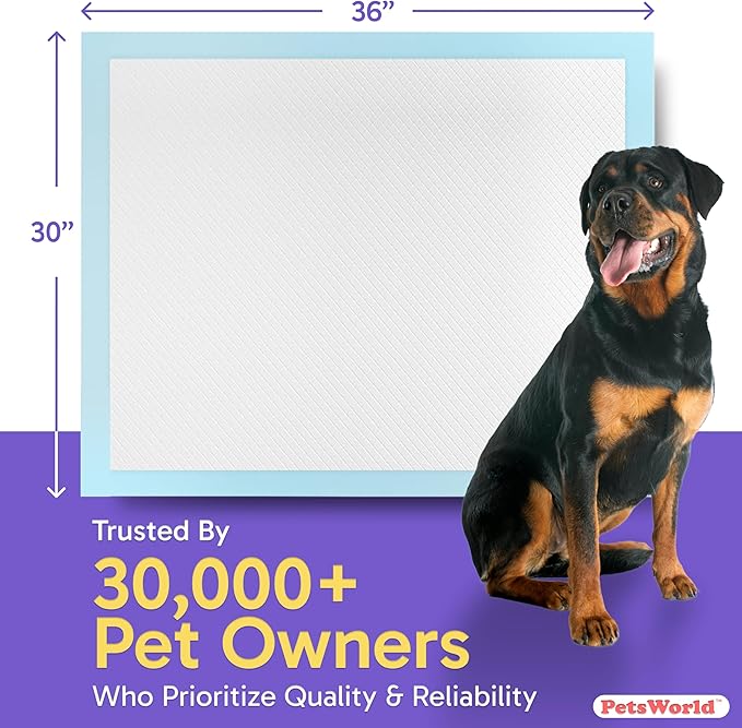 PetsWorld XL Dog Pee Pads 30"x36", 600-Count – Heavy Duty, Leak-Proof Potty Training Pads for Puppies & Large Dogs, Super Absorbent, Quick-Dry Disposable Pads with Odor Control