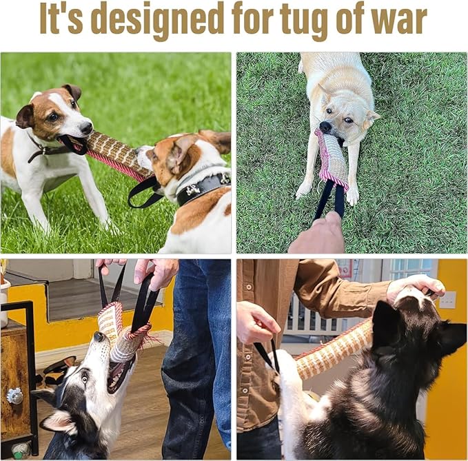 Interactive Dog Water Toys