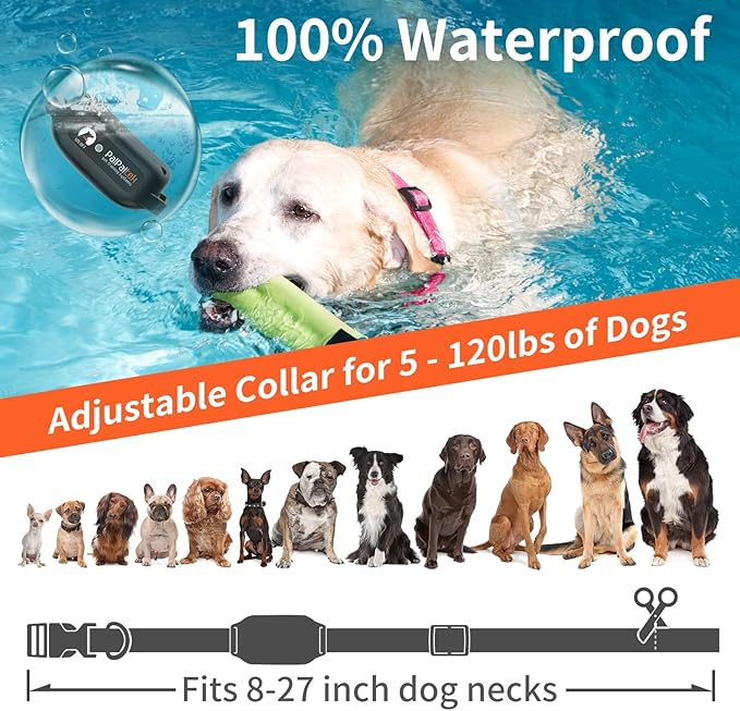 PaiPaitek Vibrating Dog Collar No Shock, Dog Vibration Collar with Controller 3300ft Range, No Shock Training Collar for Small Dogs, IPX7 Waterproof, Safe Lock - No Prongs