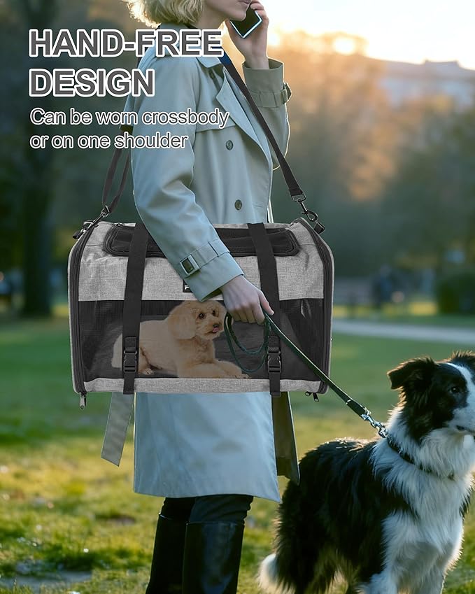 Soft-Sided Large Cat Carrier for 2 Cats, Spacious Foldable Pet Travel Carrier for Large Cats up to 25 Lbs, Double Cat Bag with Shoulder Strap, 20x13x13 Inch, Fits Maine Coon and Small Dogs, Grey