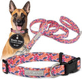 Lucky Love Dog - Easy Click Buckle Dog Collar with Leash Set Combo, Durable & Comfortable for Male & Female Dogs, Pet Collar for Small to Large Dogs, Secure Fit - Floral Rosie Combo, Large