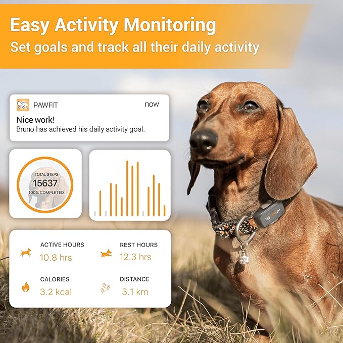 Pawfit Lite for Small Dogs 4g GPS Tracker | Real Time Tracking | Activity Monitoring |Location History | Unlimited Range | Onyx Black