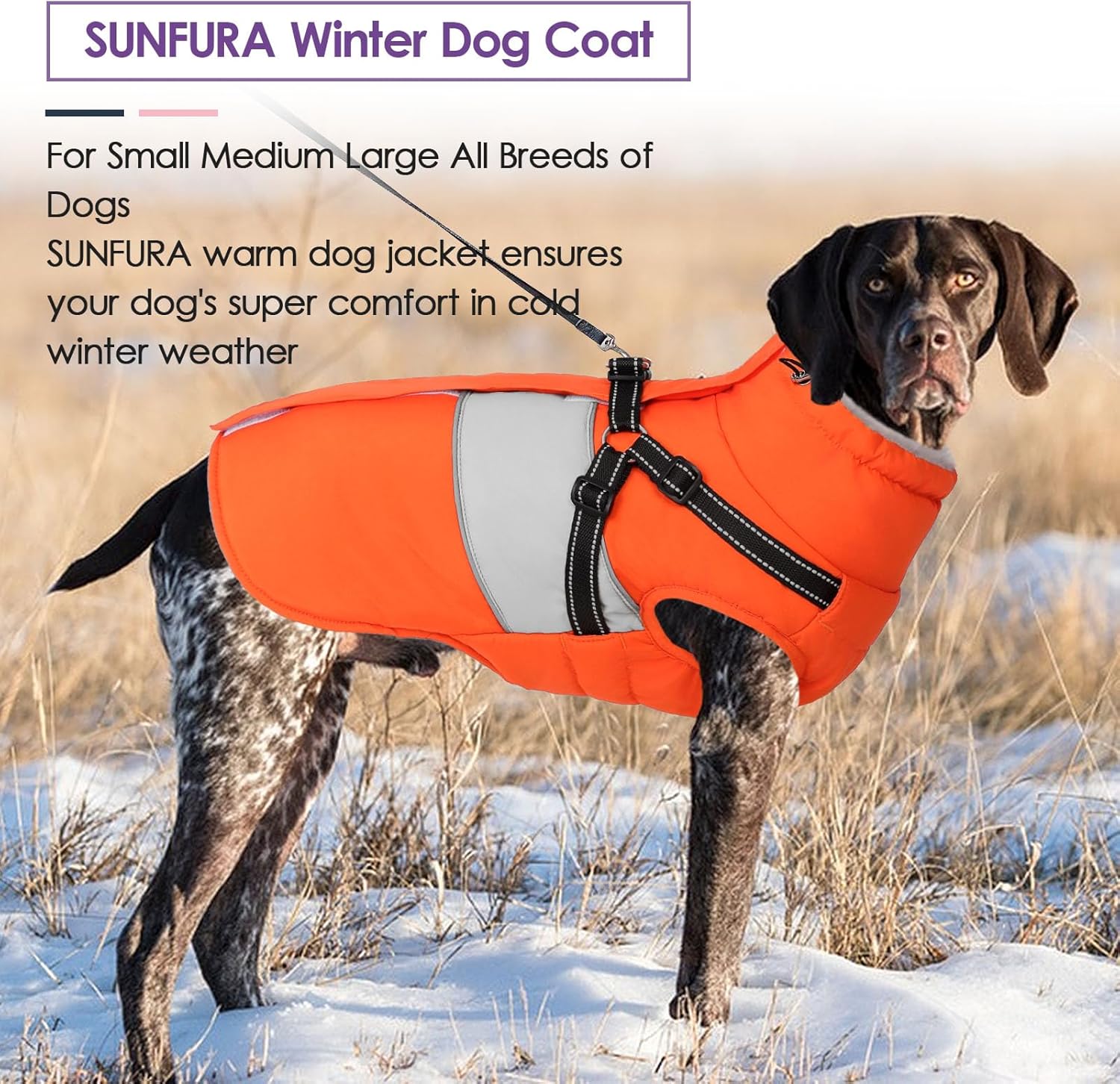 SUNFURA Dog Winter Coat, Waterproof Dog Coat Jacket with Harness for Medium Dogs Boys Girls, Reflective Fleece Lined Pet Snow Jacket Sweaters for Pug, Jack Russel, Boston Terrier, Orange M