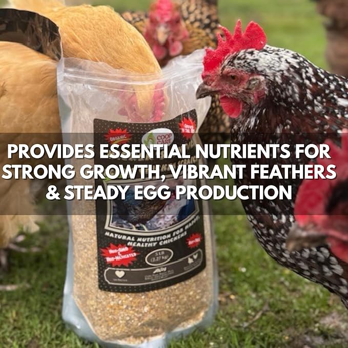 Chicken’s Choice Organic Chicken Scratch 5 lb Bag. Organic 5 Grain High Protein Premium Scratch Grain Treats & Food For Poultry, Duck & other Birds - Non-Gmo Chicken Feed, Soy Free Natural Ingredients