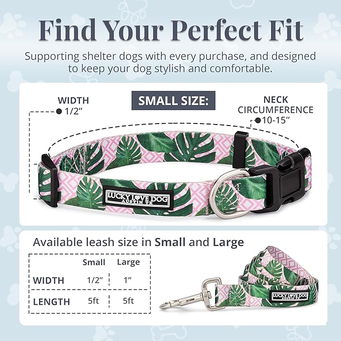 Lucky Love Dog, Tropical Matching Dog Collar & Leash Set, Soft & Comfy, Vivid Pink Color Collar and Leash for Female Male Dogs - (Small, Laguna Combo)