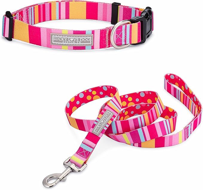 Lucky Love Dog - Easy Click Buckle Dog Collar with Leash Set Combo, Durable & Comfortable for Male & Female Dogs, Pet Collar for Small to Large Dogs, Secure Fit - Molly Combo, Extra Large