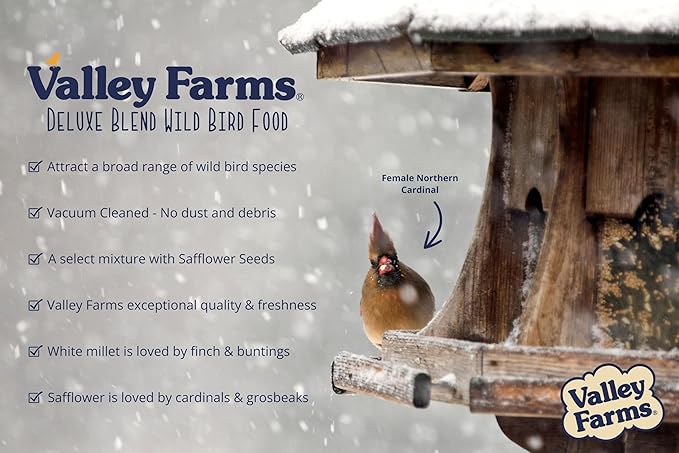 Valley Farms Deluxe Blend (15 LB) Wild Bird Food for Outside Feeders with Sunflower Seed and Safflower Seed for Birds - Value Birdseed
