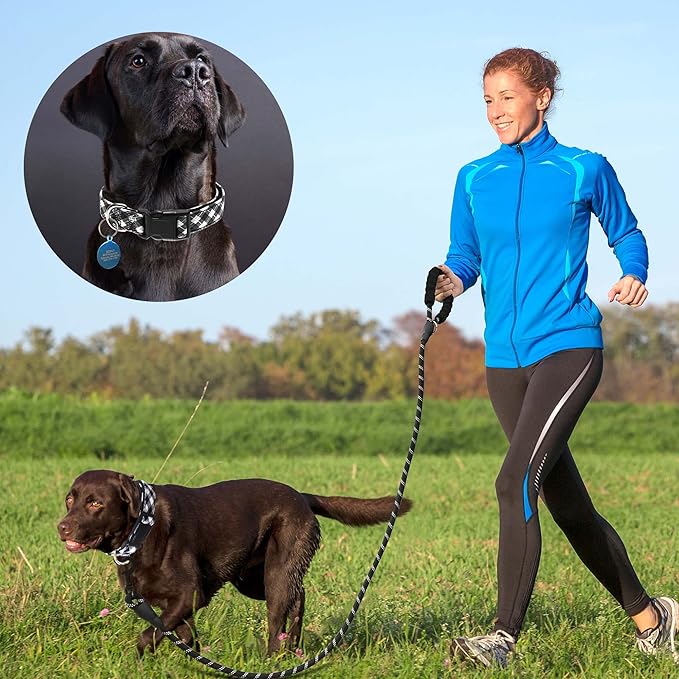 Reflective Dog Collar Padded with Soft Neoprene Breathable Adjustable Nylon Dog Collars for Small Medium Large Dogs (Large (Pack of 1), Black Plaid Collar+Leash)