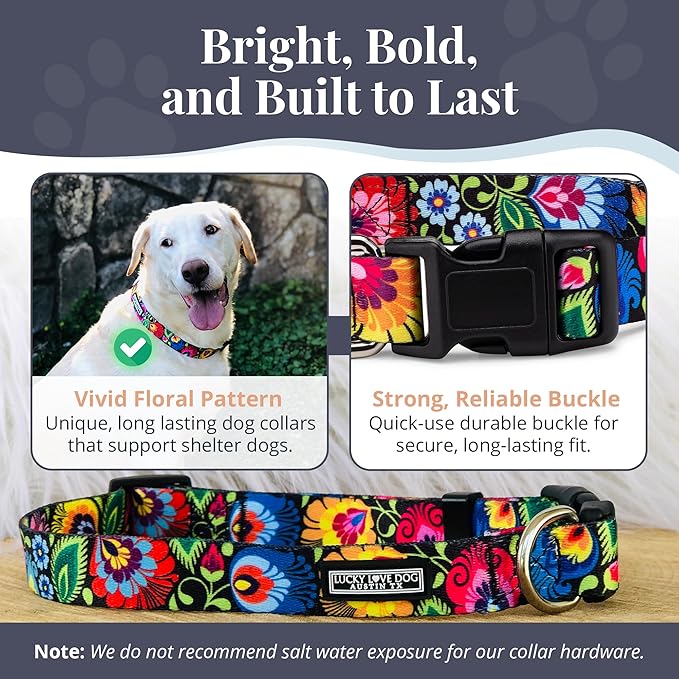 Lucky Love Dog - Adjustable Dog Collar with Easy Click Buckle for Small to Large Ones, Durable, & Comfortable for Male & Female Dogs, Pet Collar for Puppies & Adult Dogs - Blackbird, Large