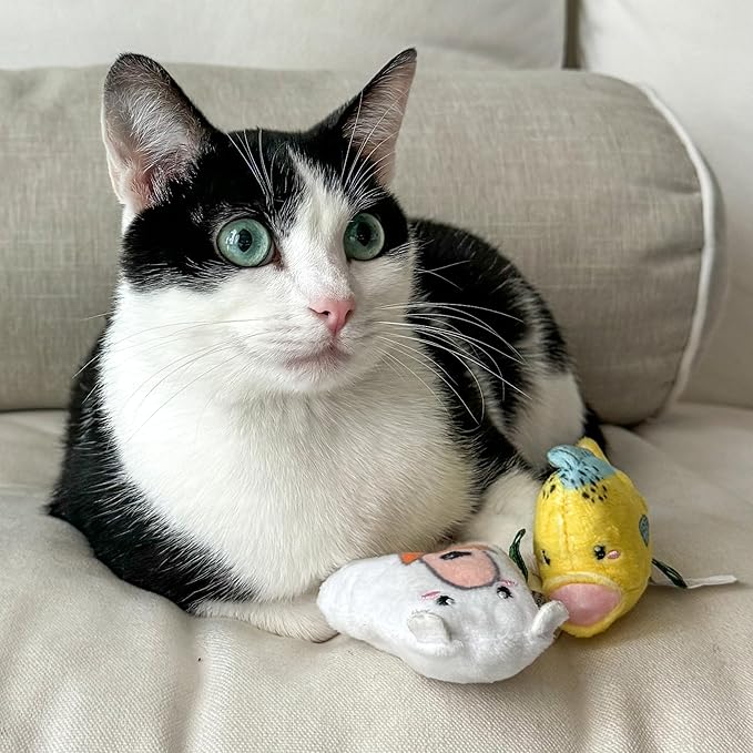 Cat Toys | Plush Toy Polar Bear & Mahi Mahi (Value 2-Pack) Cat Toys for Indoor Cats | Eco Friendly Toy Made from Non Toxic Materials