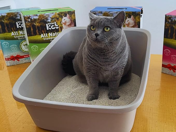 All Natural Clumping Cat Litter – Multiple Scents – Low Dust, Odor Control – Unscented 18 lb - Surprise Toy Inside