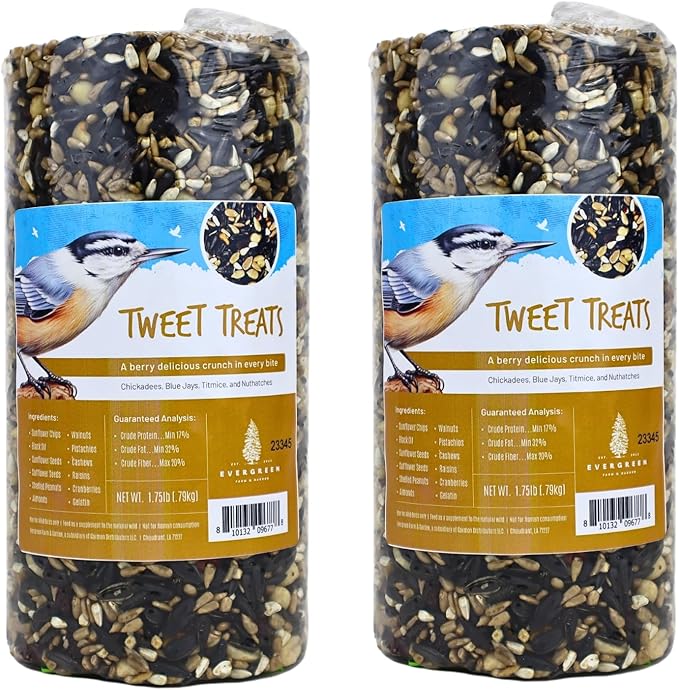 Birdseed Cylinders with Hole - Bird Seed for Outside Wild Birds (Small Cylinder, Tweet Treats 2pc)