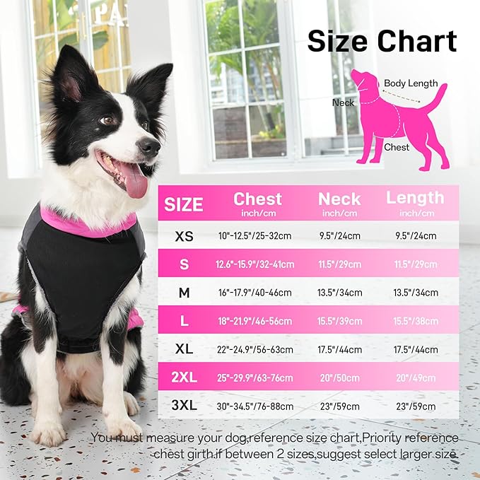 Warm Fleece Dog Coats for Small Dogs,D-Rings Waterproof Puppy Jacket for Cold Winter,Pink M