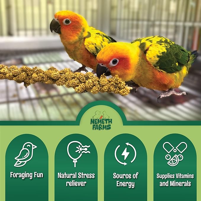 Nemeth Farms Premium Non-GMO Spray Millet Treat | Hand-Harvested Bird Snack | 100% Edible Tops | Sun-Dried Supplement for Parakeets, Cockatiels, Finches, Lovebirds, Canaries