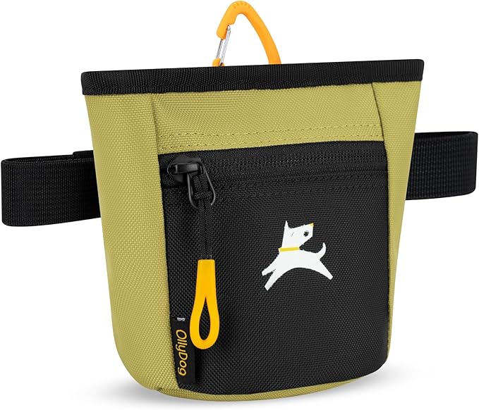 OllyDog Goodie Treat Bag, Dog Treat Pouch, Waist Belt Clip for Hands-Free Training, Magnetic Closure, Dog Training and Behavior Aids, Three Ways to Wear (Alchemy)