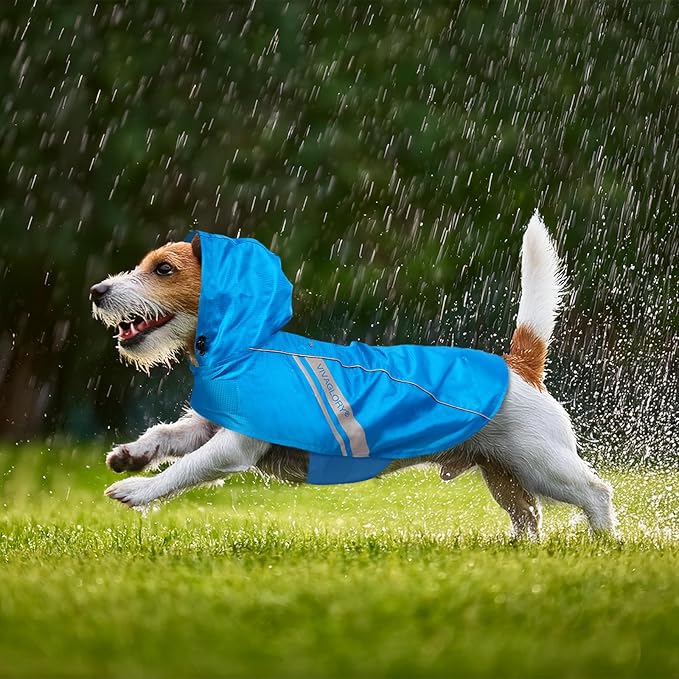 VIVAGLORY Wetoff Dog Raincoat, Rain Coat for Dog All Seasons Adventure, Rain Jacket with Harness Hole & Hood, Reflective Lightweight Waterproof for Doggy & Puppy, XL, Blue