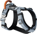 MADE TO ROAM Premium Explorer Harness - Y-Shaped Dog Harness with Adjustable Durable Nylon, Soft Padding, Metal Buckles and Leather Handle for Small, Medium, Large Dogs (Virginia Mountains, Size 2)
