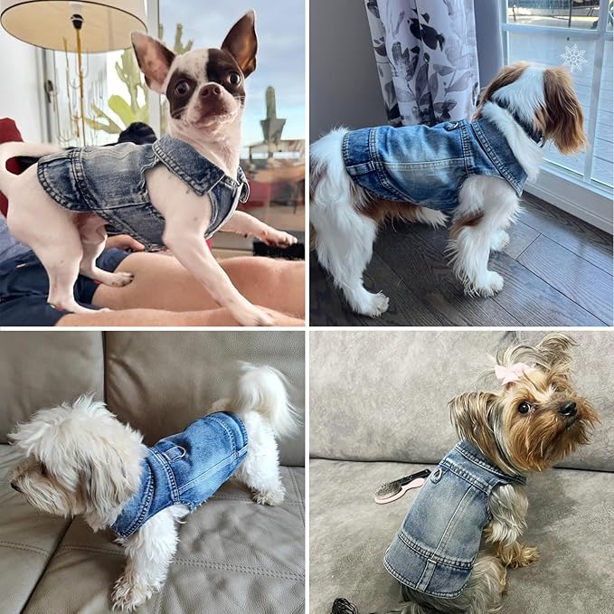 Puppy Clothes for Small Dogs Boy,Classic Western Denim Dog Coat ,Dog Jeans Jacket with Leash D-Ring,Pet Cat Costumes ,Cooling Harness Vest for Walking (Blue, Small)