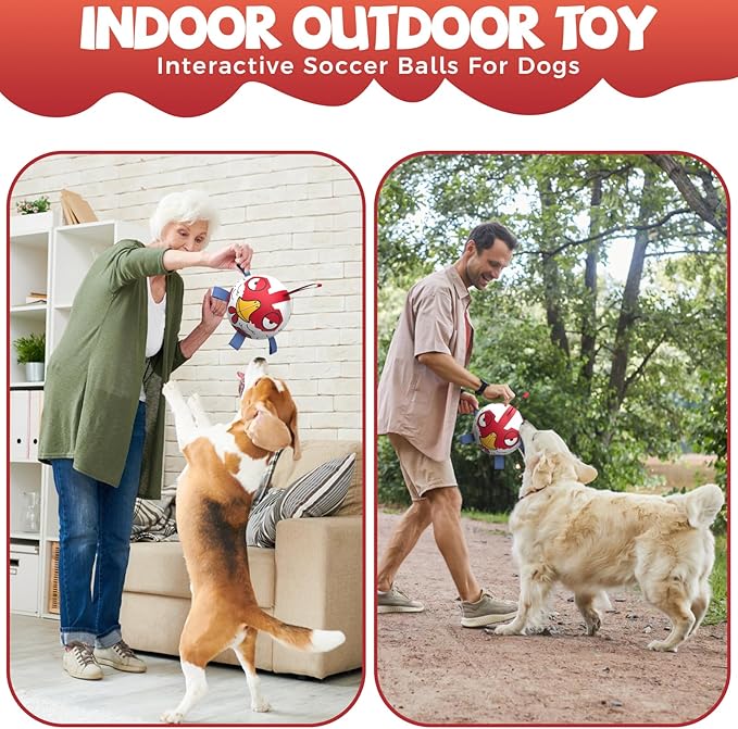 QDAN Dog Balls Toys, Outdoor Dog Toys, Dog Soccer Balls with with Straps, Premium Pet Puppy Birthday Gifts for Small Medium Dogs, 6 Inch, Chicken Ball