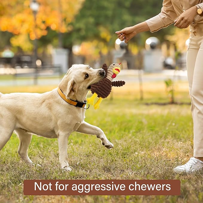 Prime Pets Dog Toys, 5 Pack, Plush Dog Squeaky Toys, Assortment Value Bundle Animal Pet Toy for Small Medium Large Dogs, Stuffed Puppy Chew Toy