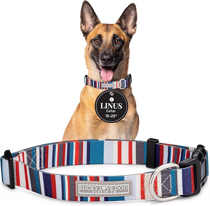 Lucky Love Dog - Adjustable Dog Collar with Easy Click Buckle for Small to Large Dogs, Durable, & Comfortable for Male & Female Dogs, Pet Collar for Puppies & Adult Ones - Linus, Large