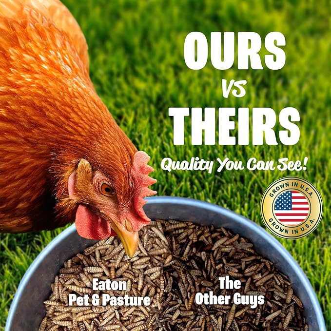Eaton Pet and Pasture Premium Grubs, USA Grown Dried Black Soldier Fly Larvae, High Calcium Treat for Chickens, Ducks, Wild Birds (1 LB)