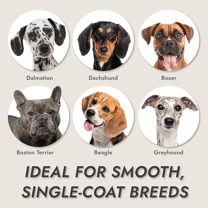 KONG 2-Speed Dog Clipper Grooming Kit – Stainless Steel Blade, Waterproof, LED Spotlight, 6 Guide Combs, 8-Foot Cord, Ergonomic Handle – Red/Gray, Medium Coat Types