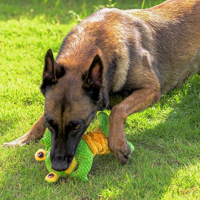 Dog Tug Toy, Durable Dog Toys Large Breed, Tug of War Dog Squeaky Toy, Stuffed Plush Dog Toys with Crinkle Paper for Small, Middle, and Big Dogs(Tug of War Series, Frog)