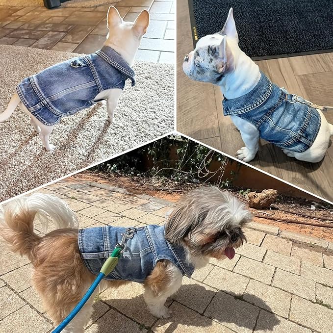 Puppy Clothes for Small Dogs Boy,Classic Western Denim Dog Coat ,Dog Jeans Jacket with Leash D-Ring,Pet Cat Costumes ,Cooling Harness Vest for Walking (Blue, Small)