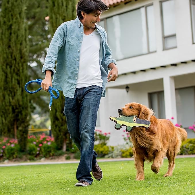 Tough Durable Squeaky Dog Toys for chewers Interactive to Keep Them Busy, Funny Tug of War Dogs Toy for Small Medium Large Cute Birthday Gift (Crocodile)