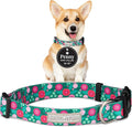 Lucky Love Dog - Adjustable Dog Collar with Easy Click Buckle for Small to Large Dogs, Durable, & Comfortable for Male & Female Dogs, Pet Collar for Puppies & Adult Ones - Penny, Small