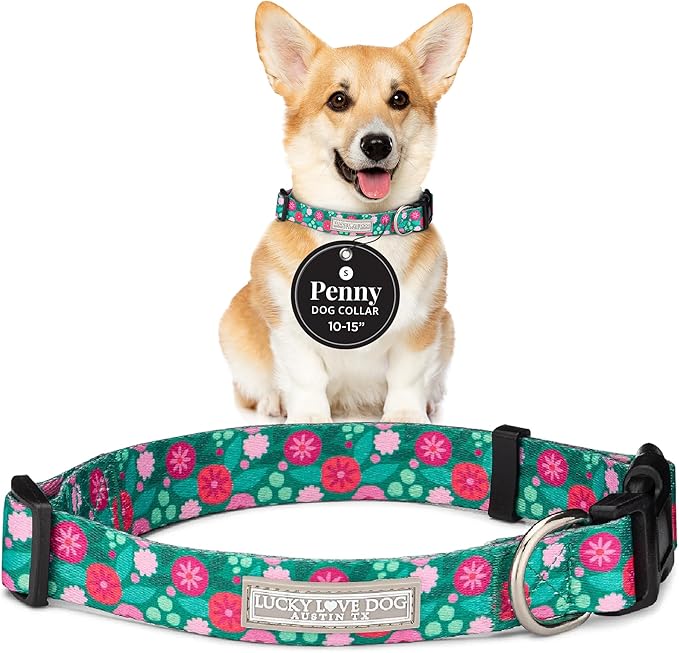 Lucky Love Dog - Adjustable Dog Collar with Easy Click Buckle for Small to Large Dogs, Durable, & Comfortable for Male & Female Dogs, Pet Collar for Puppies & Adult Ones - Penny, Small