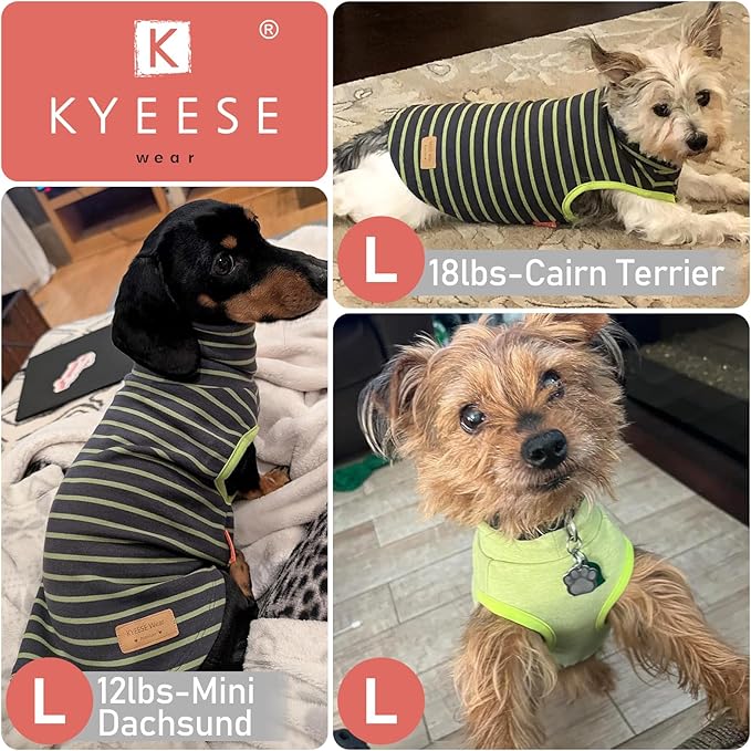 KYEESE 2Pack Dog Sweater Stretchy Dogs Clothes Soft Dachshund Clothes Warm Pet Coats Dog Sweaters for Small Dogs Male Turtleneck Small Pet Sweaters Pullover Pets Sweatshirt