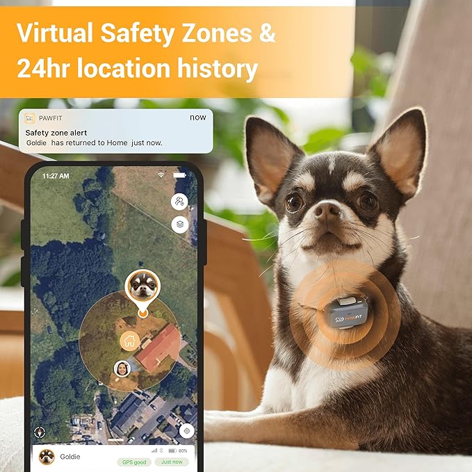 Pawfit Lite for Small Dogs 4g GPS Tracker | Real Time Tracking | Activity Monitoring |Location History | Unlimited Range | Simply White