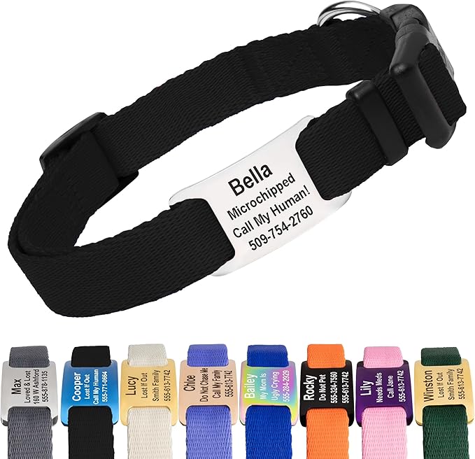 GoTags Personalized Dog Collar with Nameplate, Adjustable Dog Collar with Custom Engraved Slide On Pet ID Tag in Stainless Steel, Silent, No Noise Dog Tag for Large Medium and Small (Black, Medium)