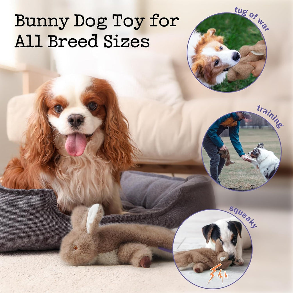 No-Stuffing Bunny Squeaky Dog Toy for Aggressive Chewers, Tear-Resistant Plush Puppy Teething Toy to Keep Them Busy, Tough Interactive Tug of War & Dental Chew for Small Medium Large Dogs