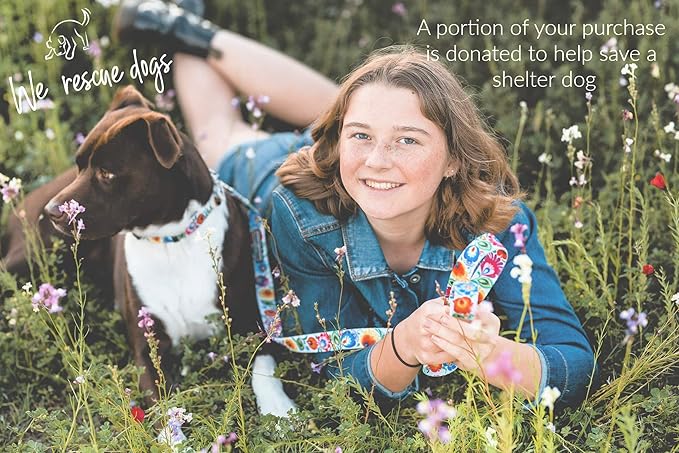 Lucky Love Dog - Adjustable Dog Collar with Easy Click Buckle for Small to Large Ones, Durable, & Comfortable for Male & Female Dogs, Pet Collar for Puppies & Adult Dogs - Ladybird, XS